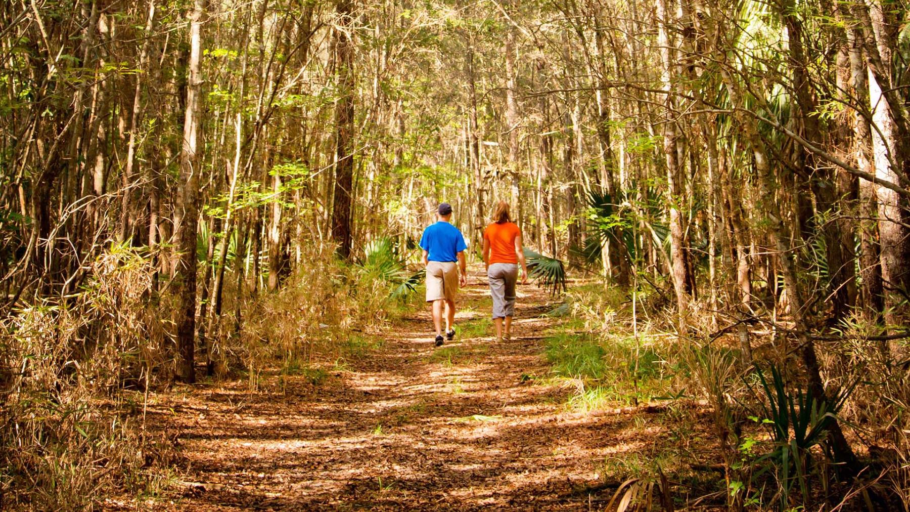 Mount Pleasant Carolina Park Community Lifestyle Walking Trails