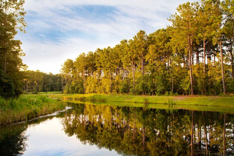 Mount Pleasant | Carolina Park's beautiful community lakes