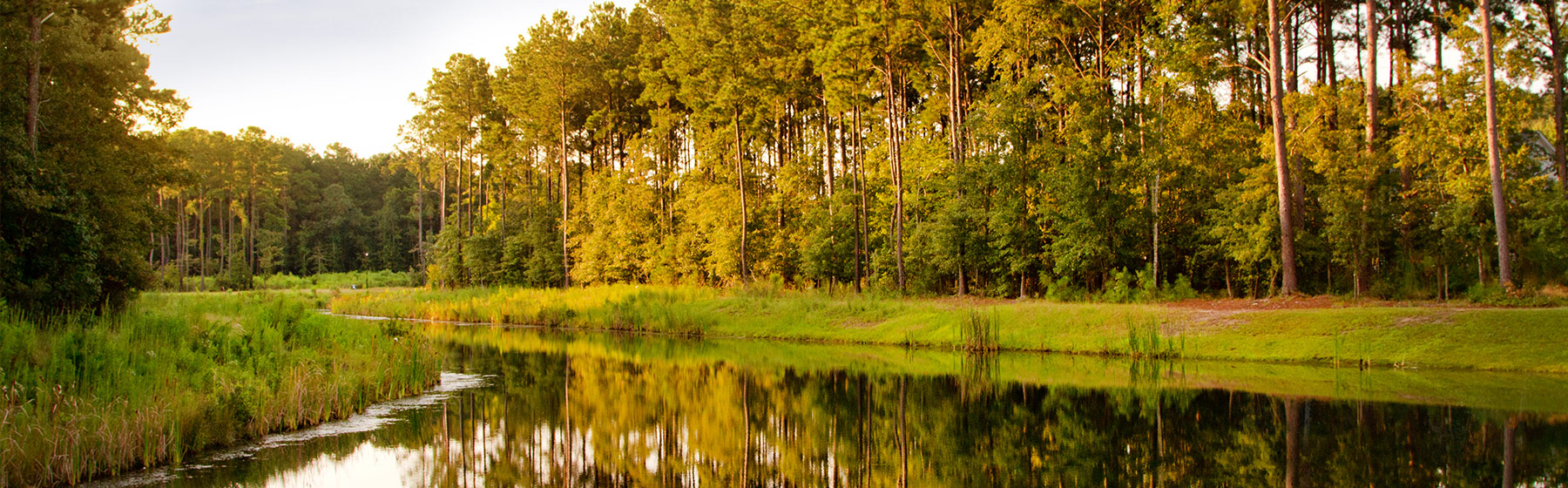 Mount Pleasant, SC real estate Find your new home in our Mount